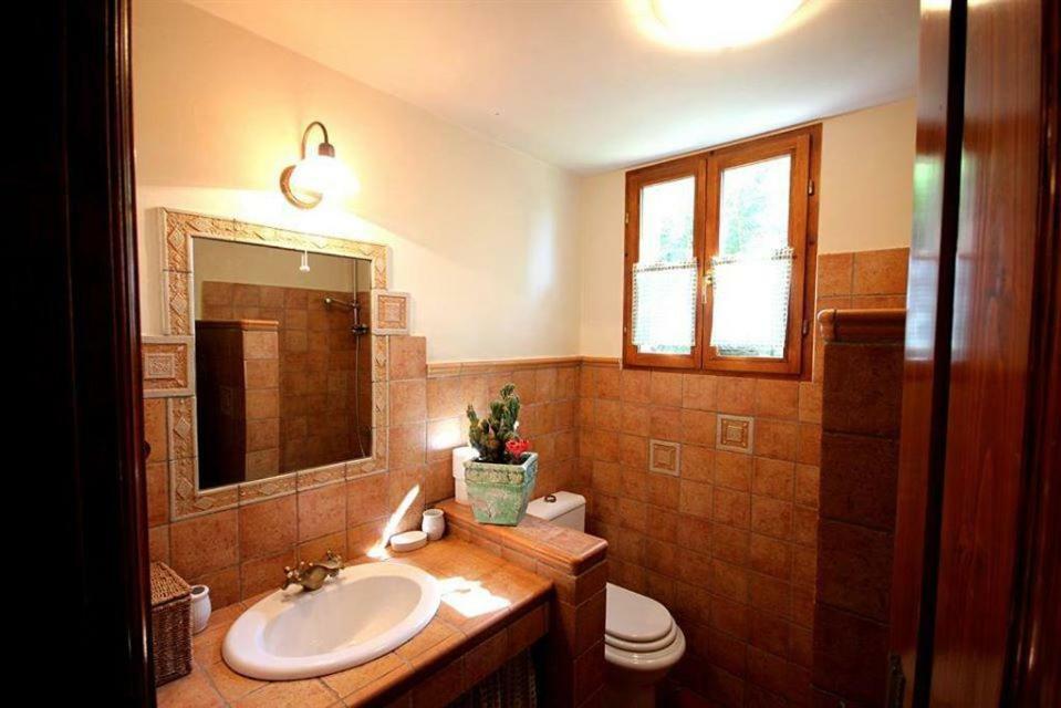 Villa Violica, Karnevali Žminj Dış mekan fotoğraf
